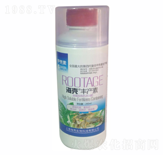 �ך����~���-��������