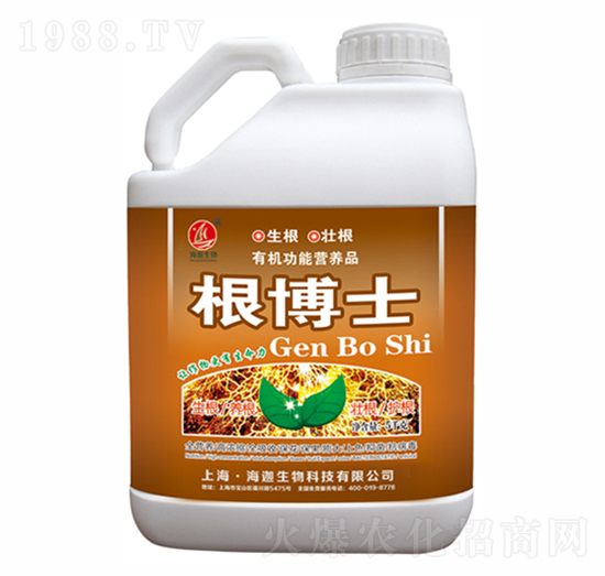 ����ʿ-�t������