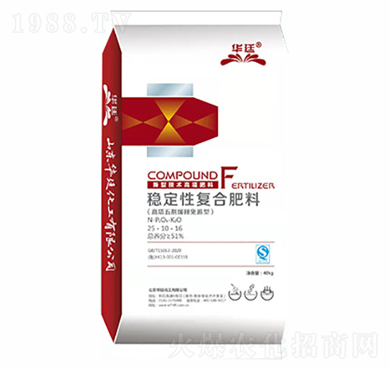 ��(w��n)���ԏͺϷ���25-10-16-�A͢����