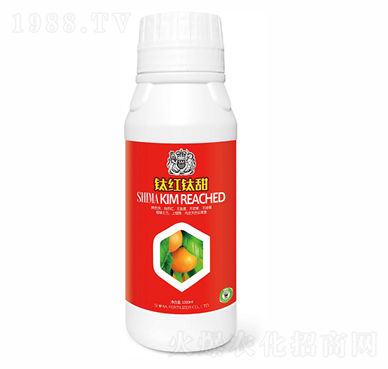 ⁼t���1000g-�{�R�ʘI(y��)