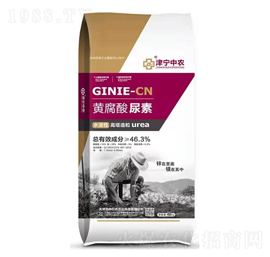 �S��������-�Ѓ|�r