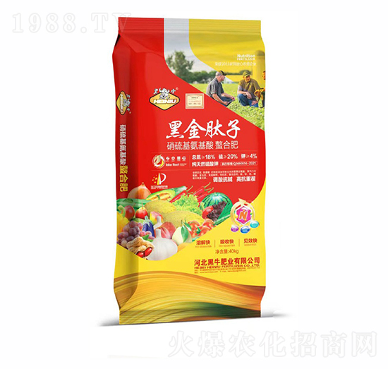 ��������������Ϸ�-�ڽ�����-��ţ�ʘI(y��)