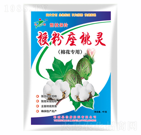 �ڷ������`-�ѿ�