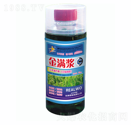 ��M�{-�ѿ�