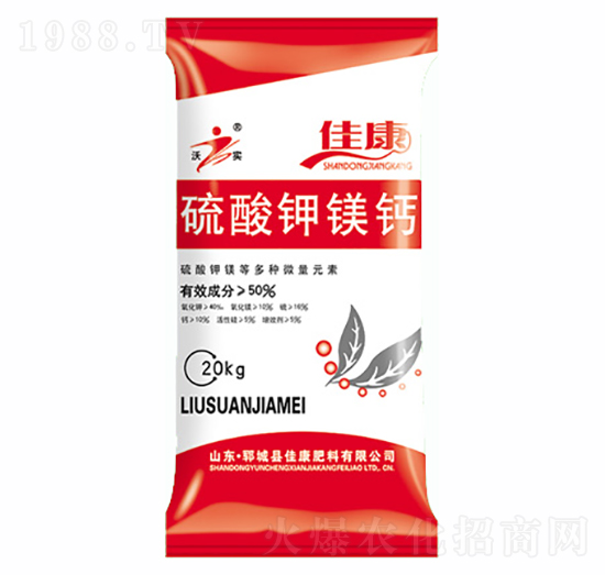 ������}�V-�ѿ�