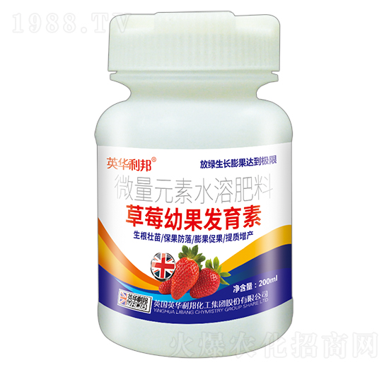 ��ݮ�׹��l(f��)����-Ӣ�A����-��˴ֲ��