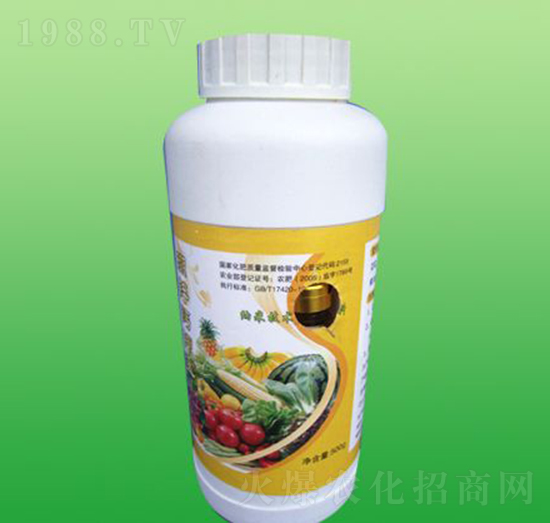 �~���-ʩ����