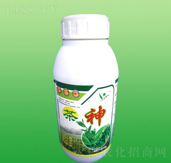 �����~���-ʩ����