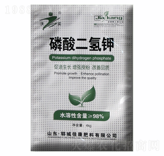 ��������-�ѿ�