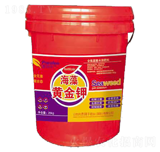 �����S���-�՝��S