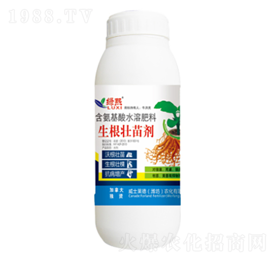 �������焩-�G��-��ʿ�R��