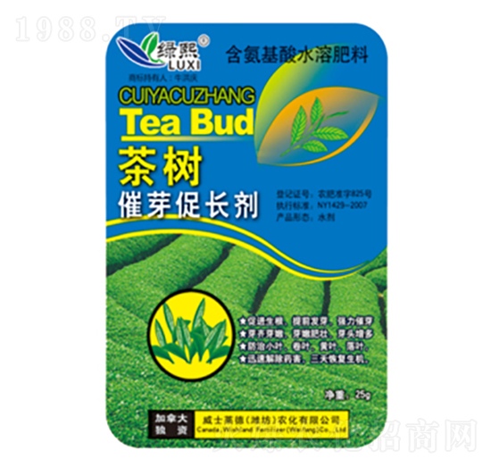 ����ѿ���L(zh��ng)��-�G��-��ʿ�R��