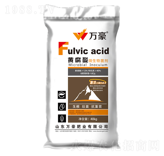 �S����΢�������-�f(w��n)��