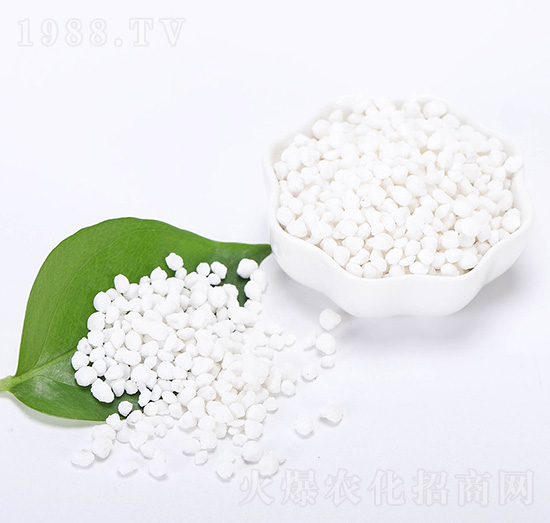 �Ȼ��@�w��-��(sh��)�����B(t��i)