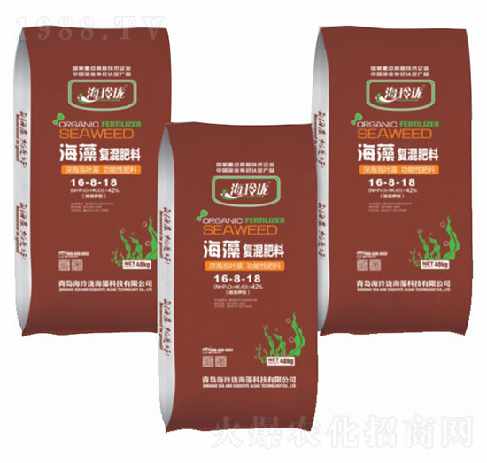 ����ͻ����16-8-18-���ᭇ