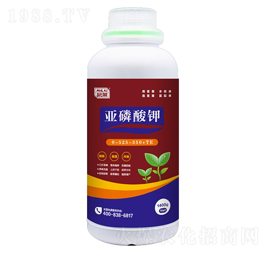 �������0-525-350+TE-���R