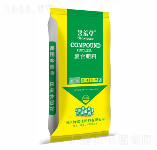 �ͺϷ���-���߲�-������