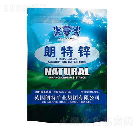 �����\-Ӣ����