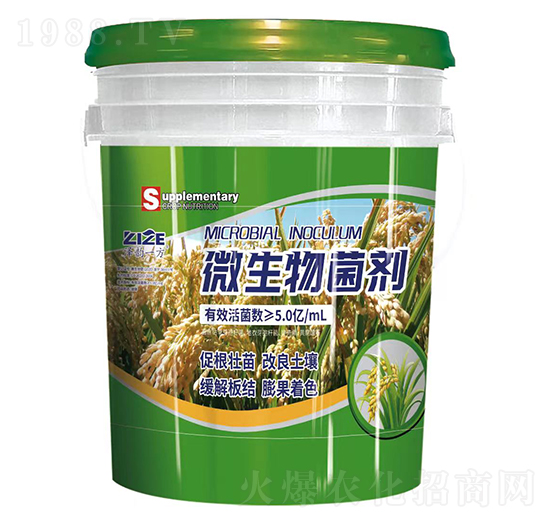 ���һ��΢�������-���r���