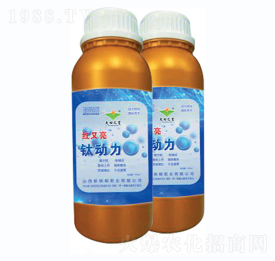 ⁄����~���-�º���