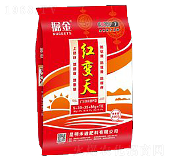 ���t׃��-�̵�