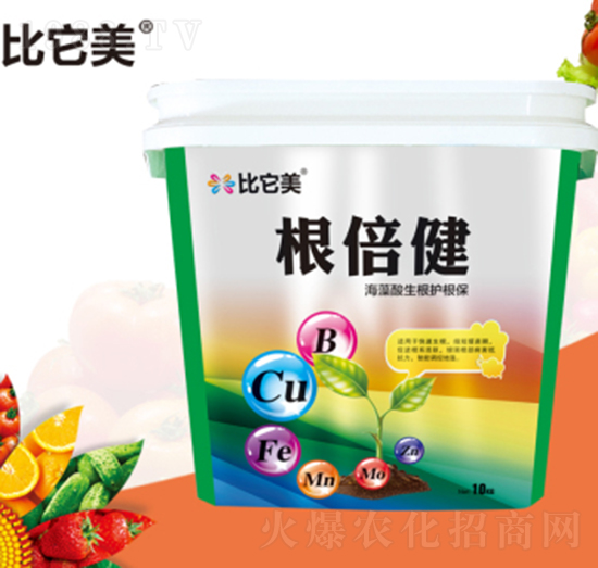 ������������-���{�r��