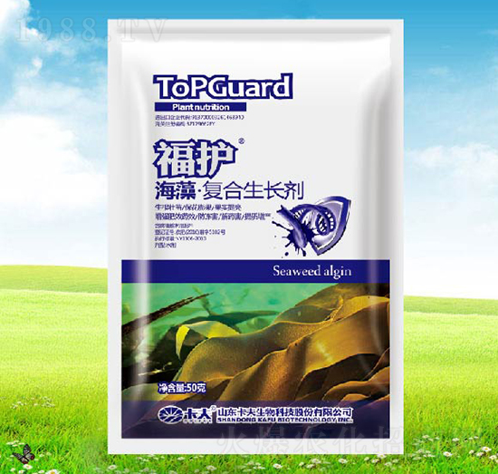 �����(f��)�����L��-���o-����