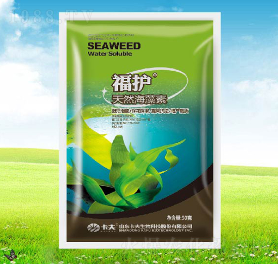 ��Ȼ������-���o-����