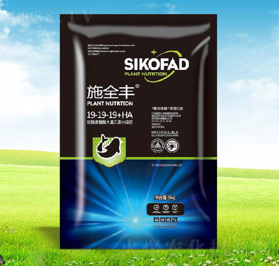 ̼ø��ֲ�����Ԫ��ˮ�ܷ�-19-19-19+HA-ʩȫ�S-����