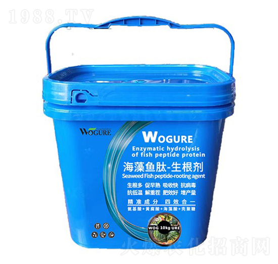 �����~��-������-�ָ���