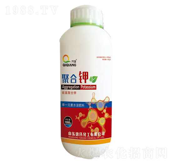 �ۺ��-���ϻ���