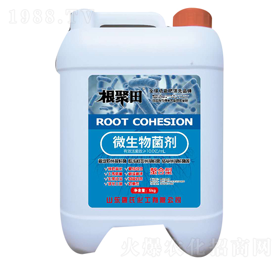 ������΢�������-���ϻ���