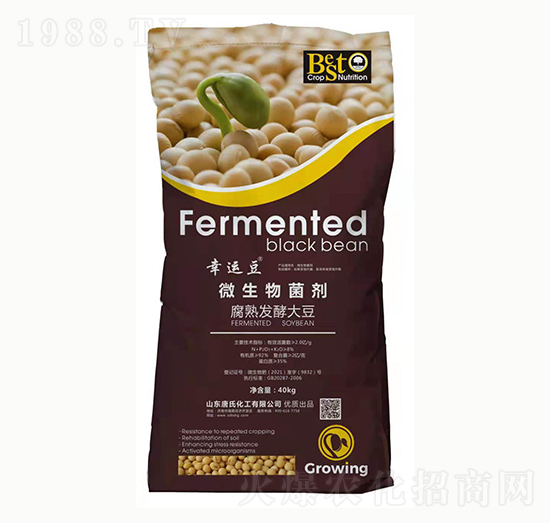 ΢�������-���\��-���ϻ���