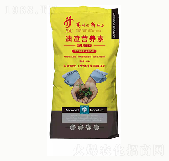 �����I(y��ng)�B(y��ng)��-���ϻ���