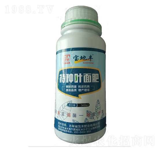 �طN�~���-�����S-�Ѻ̷ʘI(y��)