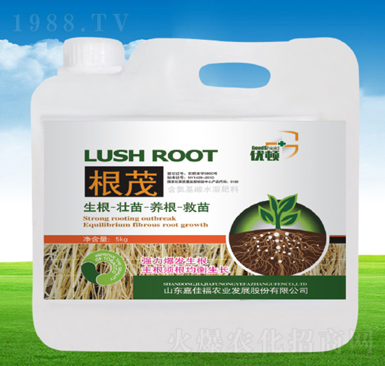 ��ï-��(y��u)�D-�μѸ�