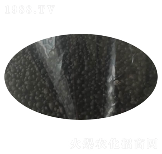 ���ۡ�������-��������