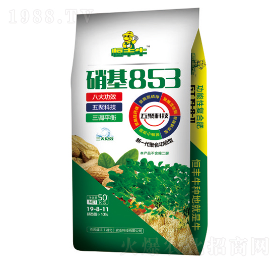 ����853���ܷ�19-8-11-���Sţ-�P�����d