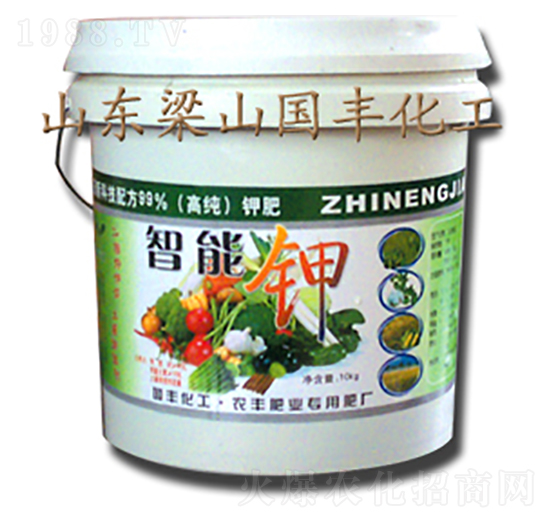 �����-��(gu��)�S�ʘI(y��)