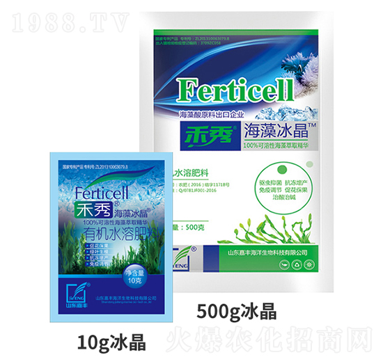 ���㡤�������-���S