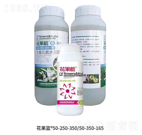 �����{�M��-���S