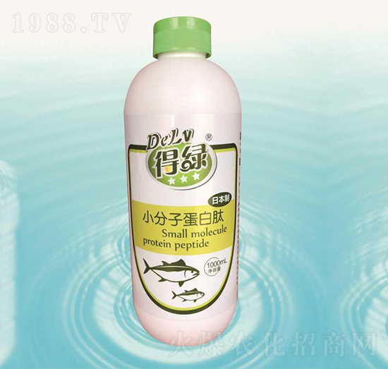 �þGС���ӵ�����-�{���r(n��ng)��