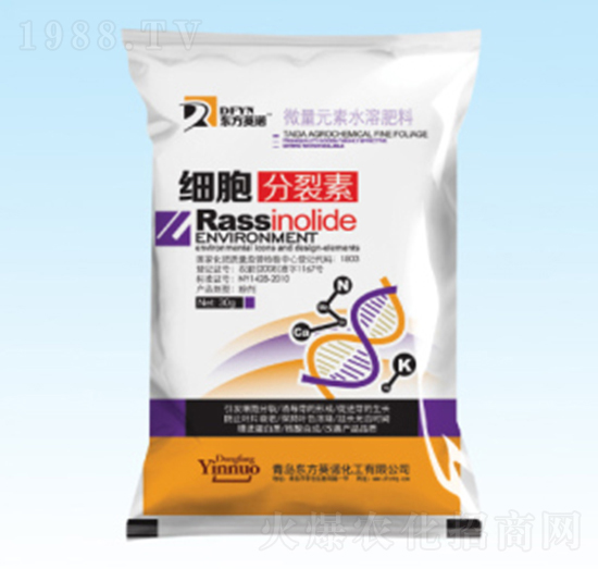 ����������-�|��Ӣ�Z