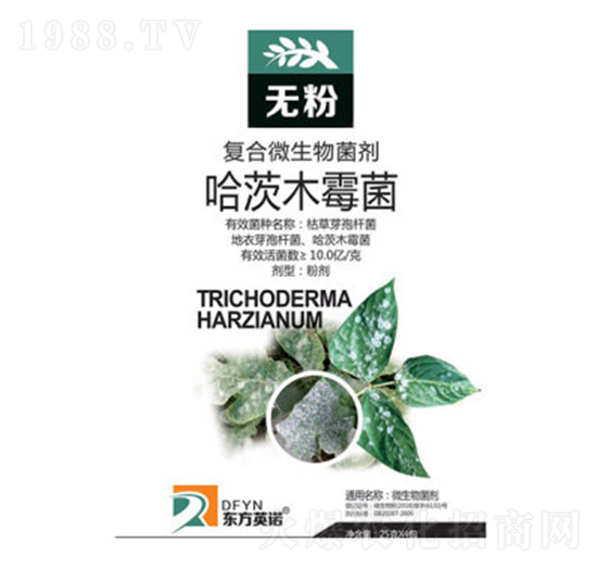 ����ľù��-�o��-�|��Ӣ�Z