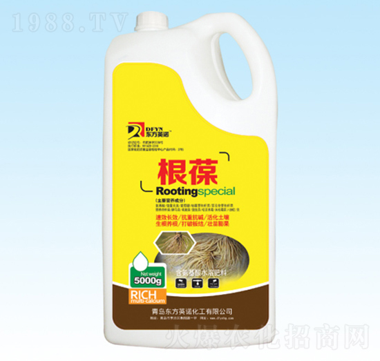 Ͱ�b����-�|��Ӣ�Z