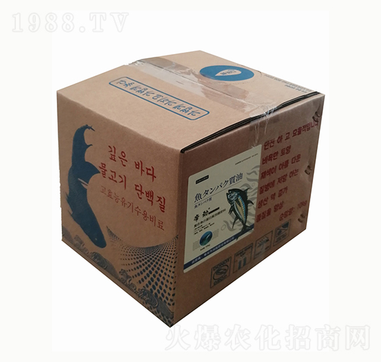 �ͺ��~�������w��-�ۄ�