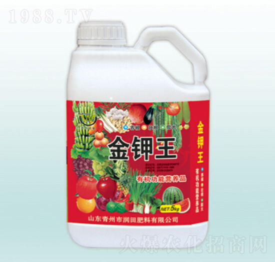 �����-�������