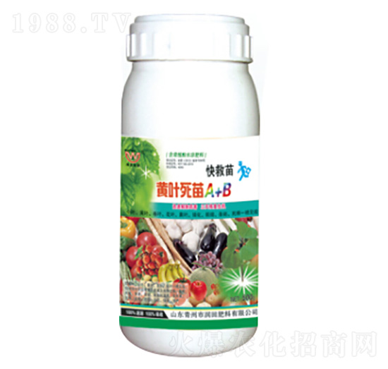 �S�~����A+B-�������