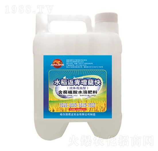 水稻甩施肥-水稻返青增蘗快-君龍實業(yè)