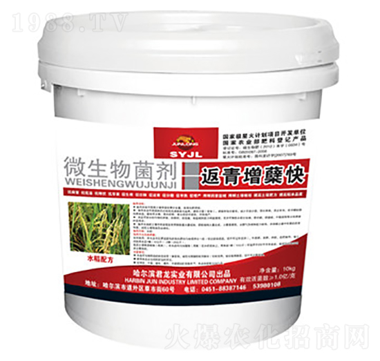 10kg微生物菌劑-返青增蘗快（水稻配方）-君龍實業(yè)